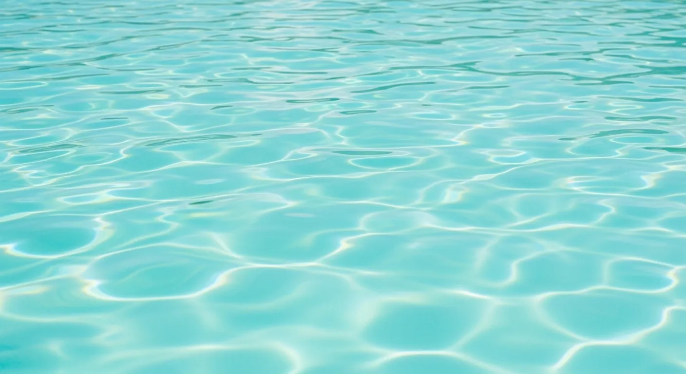 Website Design & Development